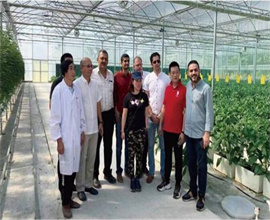 约旦设施农业温室项目